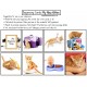 Adapted Book Series WEEK LONG LESSON My New Kitten for Special Education SET 1